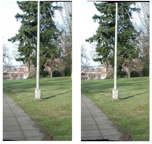 左:第一種方法，可看到樹葉糊糊的；右:第二種方法，沒有鬼影現象。